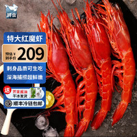 鲟食西班牙红魔虾新鲜刺身级 鲜活冷冻魔鬼虾生腌海鲜虾类 5-6只/斤【特大号19-22cm】