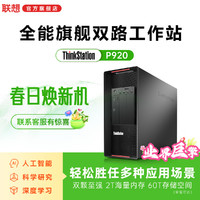 Lenovo 联想 ThinkStation）P920图形渲染计算仿真塔式工作站主机银牌4210R/64G/512G+2T/T400-4G/1400W