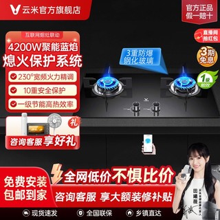 百亿补贴：VIOMI 云米 VG203系列 燃气灶