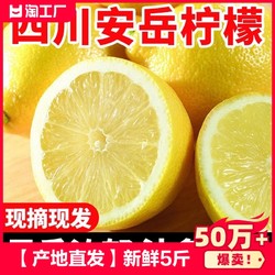 志果果 新鲜黄柠檬5斤装单果80克以上当季新鲜水果精选柠檬