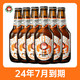 Hitachino Nest 常陆野猫头鹰 IPA 精酿啤酒 330mL*6瓶