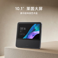 Xiaomi 小米 庭屏 10