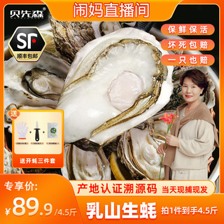 【闹妈直播】乳山生蚝鲜活新鲜特大牡蛎肉海蛎子海鲜水产整箱