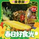  小编帮你省1元、春焕新、88VIP：Goodfarmer 佳农 黑钻超甜凤梨 2头装 （单果1kg+）　