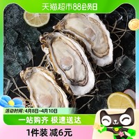 88VIP：BEISILING 贝司令 鲜活乳山生蚝XL新鲜牡蛎净重4斤16-22只海鲜水产海蛎子