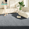 大江 地毯客厅地毯轻奢感羊毛卧室床边毯沙发地毯易打理现代简约 凡迪-深空灰DT22-AA-05 300x200cm