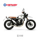  汉威（Hanway）汉威复古小排 - HS125neo 亚光银 定金　