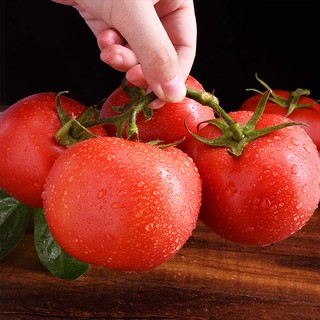 【原产地计划】陕西普罗旺斯西红柿