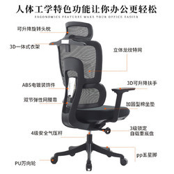 菲迪-至成 F181 人体工学椅 海绵座垫+升降扶手+3D腰托+黑