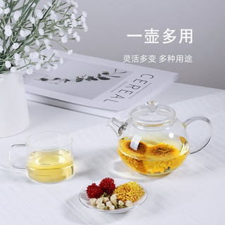 尚明高硼硅耐热冲茶壶玻璃花茶壶小茶壶旅行便捷功夫茶具套装壶嘴过滤 单壶 300ml