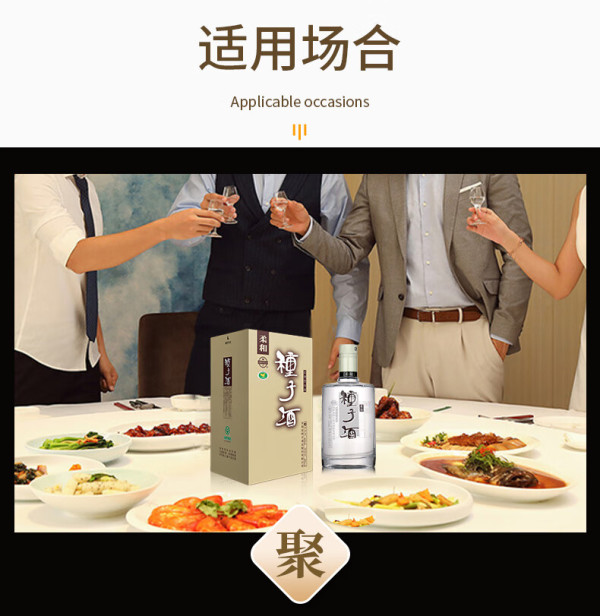 金种子柔和种子酒浓香型白酒安徽经典口粮酒40度460ml4瓶整箱装