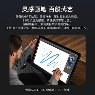 XPPen数位屏 数位板绘画板 电脑手绘板 手写板连电脑 手绘屏 电子绘画写字板 Artist 24 FHD高清