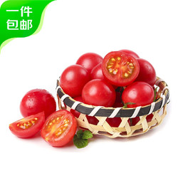 京百味 山东圣女果小西红柿 2.5kg装