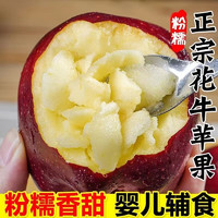 新嘟润甘肃天水正宗花牛苹果 精选果3斤（5-7个）