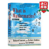 英文原版 什么是数学 一种思想和方法的基本方法 What Is Mathematics