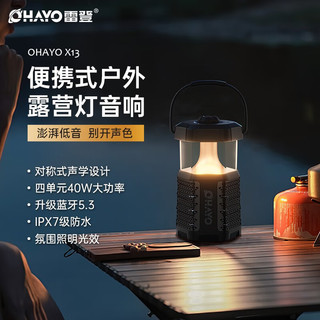 雷登（OHAYO） X8pro蓝牙音响户外便携防水超重低音炮大音量双喇叭3D环绕立体声无线手机桌面电脑车载音箱 x13标配【当/次日达】 标配