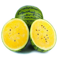 京逸 麒麟西瓜精选8424无籽特小凤(单果2-3斤左右品尝款)