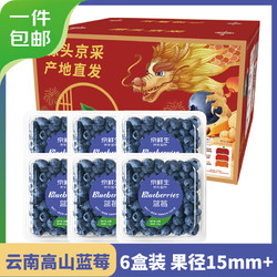 Mr.Seafood 京鲜生 云南蓝莓 6盒 约125g/盒 15mm+