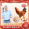 杨博士 童子鸡皖南农家土鸡 1只切块童子鸡净重600g+10枚土鸡蛋 包 邮