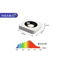 百亿补贴：LABOT 拉伯塔 斗胆明装筒灯 单头 9w 中性