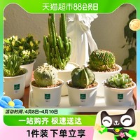 88VIP：DEEPBANG 深邦 单品包邮 树脂花盆加厚塑料阳台种花加仑盆绿萝多肉控根盆栽