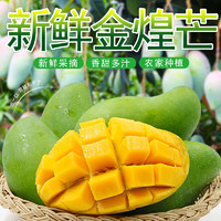 自然搭档 海南金煌芒果 皮薄肉厚 新鲜热带水果 4.5-5斤（单果250g起）