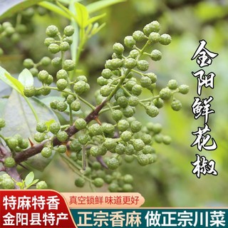 爱蜀味 四川金阳特产 新鲜花椒 保鲜特麻藤椒 生青花椒麻椒350g