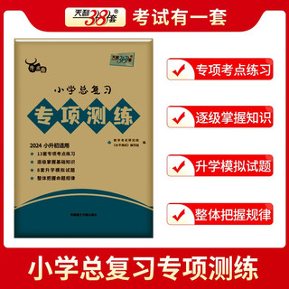 天利38套 2024 语文 小升初总复习专项测练 六年级小学毕业复习资料 2024版