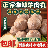 景雄 潮汕牛肉丸牛筋丸4斤装鲜肉制作Q弹多汁爽口冰袋保温袋锁鲜 牛筋丸+牛肉丸（共500g）