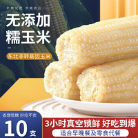 正宗东北白甜糯黏玉米新鲜真空装包装袋水果黄玉米10支