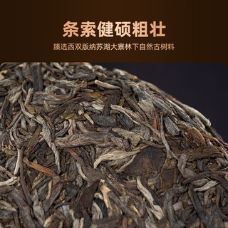 老同志云南普洱茶 生茶  寻春玉寿山古树纯料 礼盒茶357克