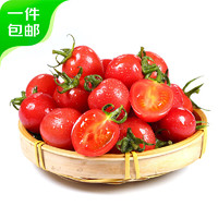 京地达 千禧圣女果1.5kg装 寿光小番茄小西红柿 新鲜水果蔬菜源头直发
