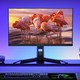 泰坦军团 P25M2S 24.5英寸FastIPS显示器（2560*1440、240Hz、98%DCI-P3、HDR400）