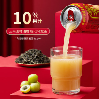 乌龙茶滇橄榄汁 310ml*16瓶 0脂肪0色素0香精茶饮品油柑汁饮料 整箱
