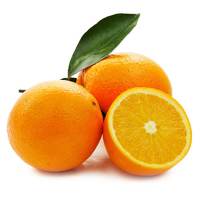 88VIP：RT-Mart 大润发 秭归伦晚橙 4粒装 约840g橙子