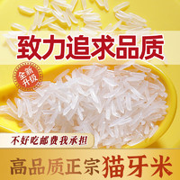 HUANHE 欢禾 长粒猫牙米泰香米长粒香米防潮包装10kg 可