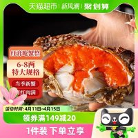 88VIP：遇上鲜 舟山红膏呛蟹整只生腌螃蟹4只（3-4两）