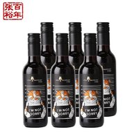 CHANGYU 张裕 长尾猫半干红葡萄酒188ml*6