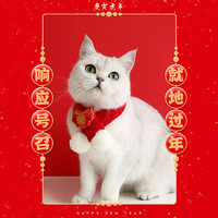 泰格宠物 猫咪过年围巾小狗狗围脖新年宠物装饰围兜猫猫饰品项圈春节口水巾