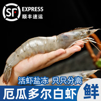 南美厄瓜多尔盐冻白虾对虾特大虾鲜活冷冻超大2030王牌