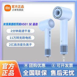 Xiaomi 小米 MIJIA 米家 H501 SE 电吹风