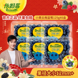 Driscoll's Only the Finest Berries 怡颗莓 当季云南蓝莓 新鲜水果 蓝莓小果125g*6盒