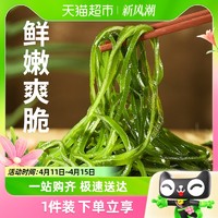 88VIP：赶海弟 新鲜盐渍海带丝凉拌菜250g非裙带菜干货海产火锅食材