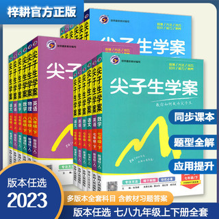 《梓耕书系2023春尖子生学案》中学教材