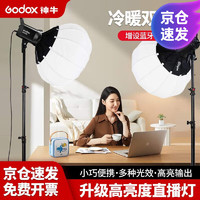 Godox 神牛 SL60D/BI二代双色温补光灯LED摄影灯柔光灯 SL60W升级-单灯头 D白光版