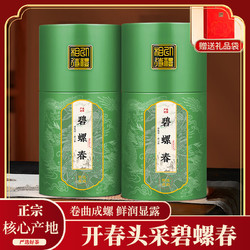 茶一馆 碧螺春茶叶新茶明前精选绿茶花果香茶叶龙纹装500g 250g*2罐装