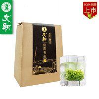 WenXin Tea 文新 绿茶嫩芽1500信阳毛尖珍品250g2024年明前纸包装新茶上市