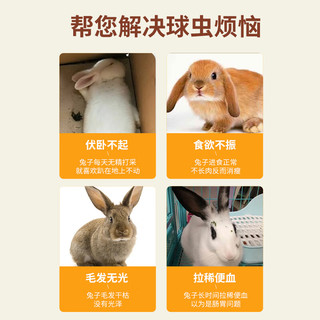 圣宠医兔子驱虫药宠物荷兰猪豚鼠仓鼠用品拉稀拉肚子体内打虫药抗球虫病药