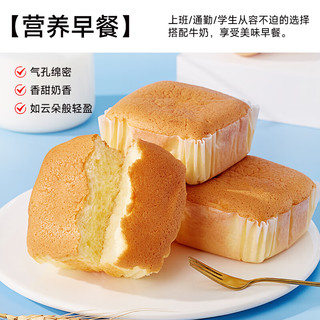 bi bi zan 比比赞 水牛奶蛋糕 300g