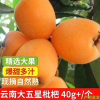 水果蔬菜 云南大五星枇杷 现摘 现发 云南 五星枇杷5斤（大果30-35g）